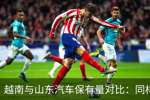越南与山东汽车保有量对比：同样一亿人口的差异